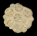 Sexfoil pattern with raised dots from 18CV91 Smith St. Leonard Site.